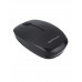 Мышь беспроводная GoPower GPM02 классическая USB черный (1/100)