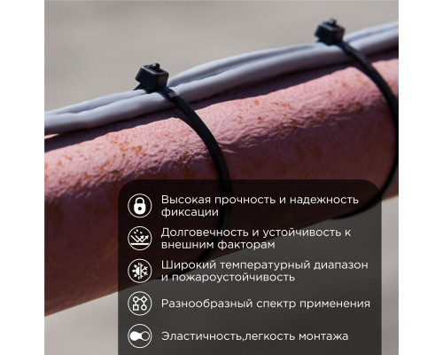 Хомут-стяжка кабельная нейлоновая REXANT 250 x7,6мм, черная, упаковка 100 шт.
