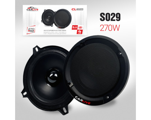Эстрадная акустика Carlive CL1685 (5)"