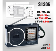 Радиоприемник deespi RE-12 BT/AM/FM/SW/USB/AUX/MicroSD